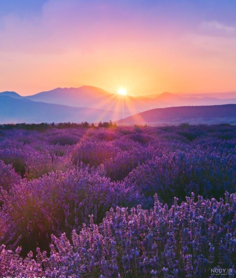 عکس خفن عکس غروب تنهایی