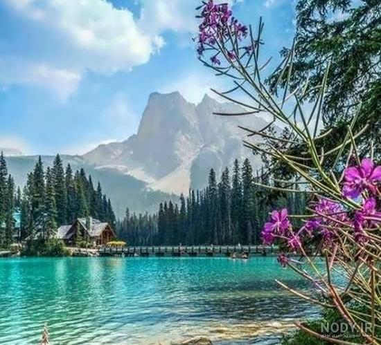 100 عکس طبیعت⭐دانلود عکس های زیبای طبیعت با کیفیت بالا