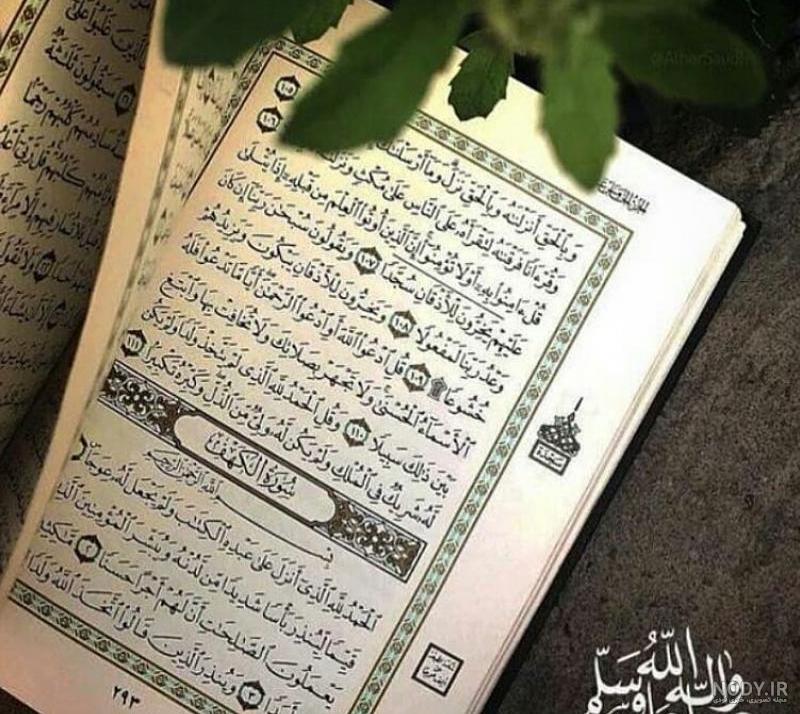 25 عکس قرآن و گل باکیفیت برای پروفایل و اینستاگرام 25 عکس قرآن و گل باکیفیت برای پروفایل و اینستاگرام