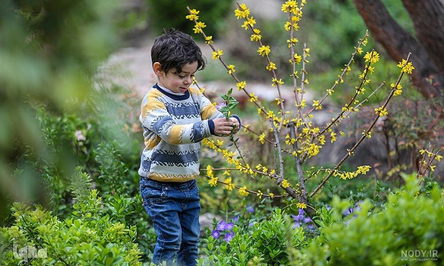 آلبوم عکس؛ طبیعت بهاری شیراز | آبان‌پرس