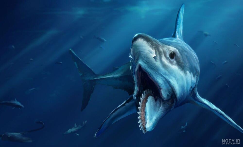 این حیوانات به اندازه‌ی تصورات ما خطرناک نیستند - ایرنا زندگی