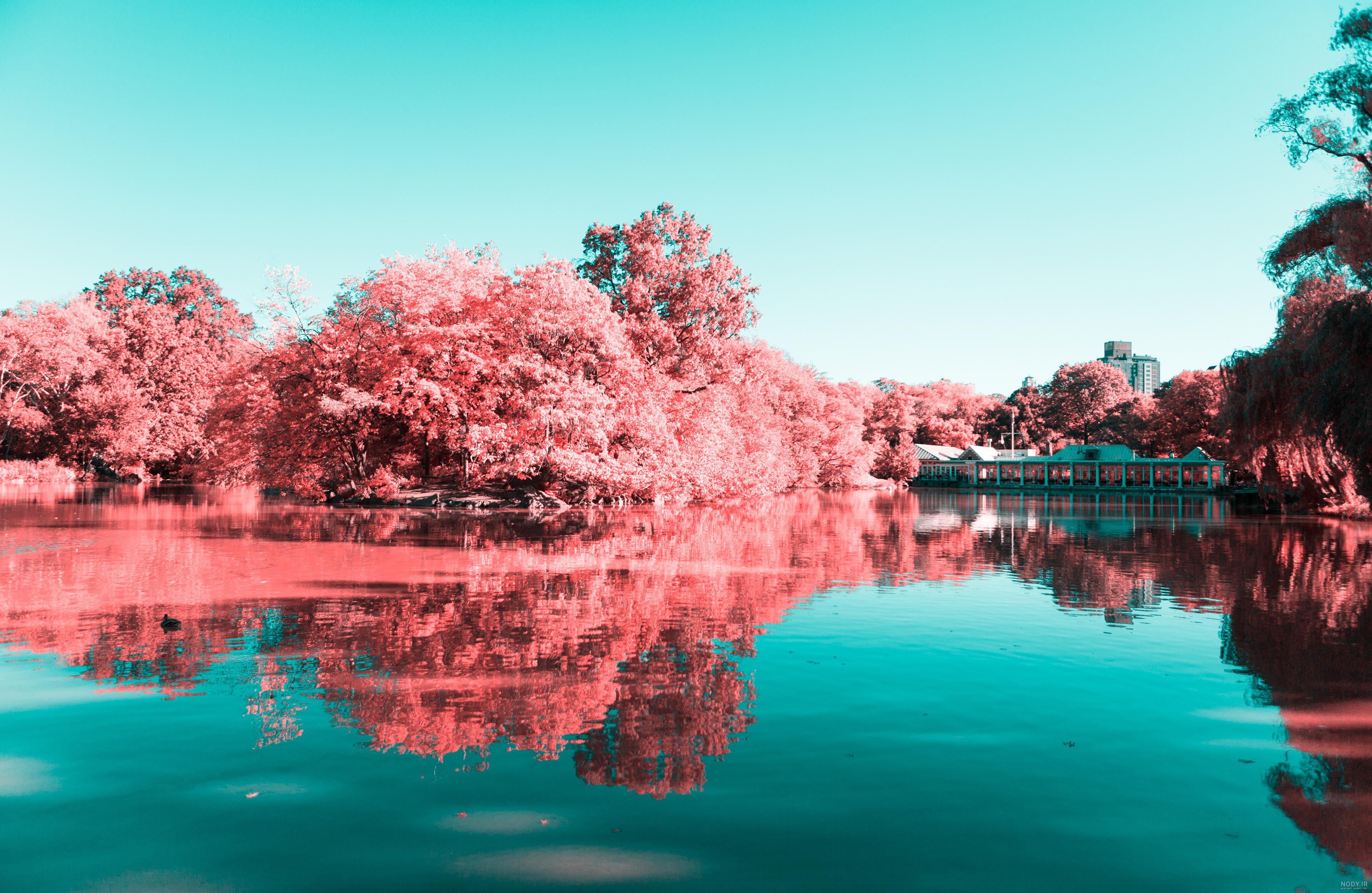 بیش از 30 عکس بهار با کیفیت بالا و ادیت حرفه‌ای | لست‌سکند