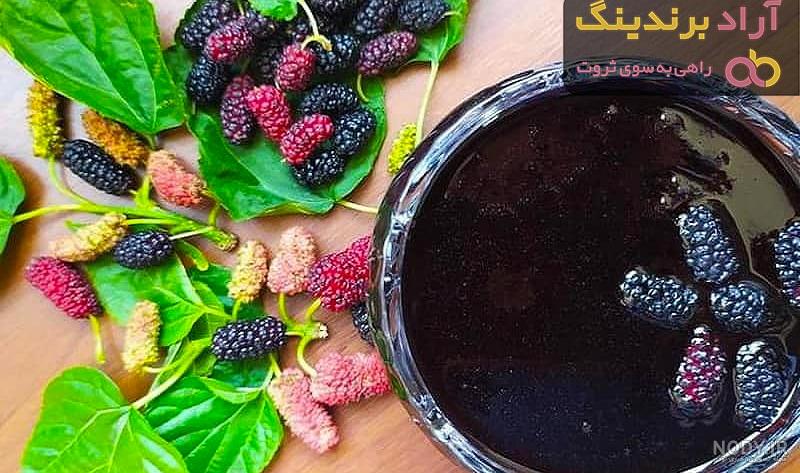 تصویر با کیفیت میوه استوایی به همراه شاه توت و تمشک سیاه - ایران طرح تصویر با کیفیت میوه استوایی به همراه شاه توت و تمشک سیاه - ایران طرح