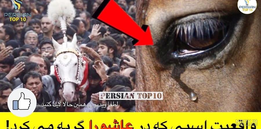 تصویر ذوالجناح حسین ۱۴۰۰ - عکس نودی تصویر ذوالجناح حسین ۱۴۰۰ - عکس نودی