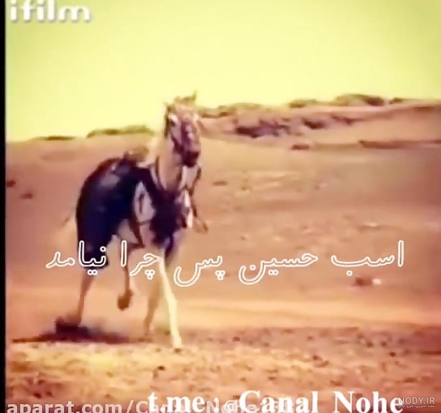 جنگجو‌ نقاشی مینیاتور و نگارگری جنگجوی عرب استعاره از حضرت ابوالفضل العباس امام  حسین در روز عاشورا سوار بر اسب اثر رضا مهدوی 1560791