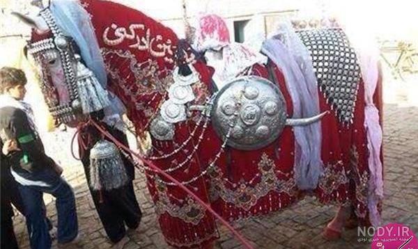 حقيقت اسبى كه در روز عاشورا و تاسوعا براى امام حسين گريه ميكرد! حقيقت اسبى كه در روز عاشورا و تاسوعا براى امام حسين گريه ميكرد!