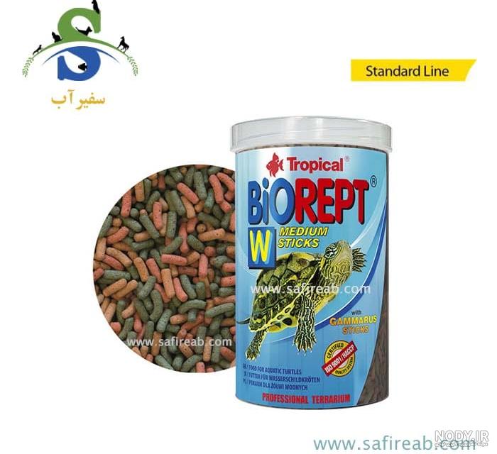 روش صحیح مراقبت از لاک پشت خانگی + راه حل مشکلاتش روش صحیح مراقبت از لاک پشت خانگی + راه حل مشکلاتش