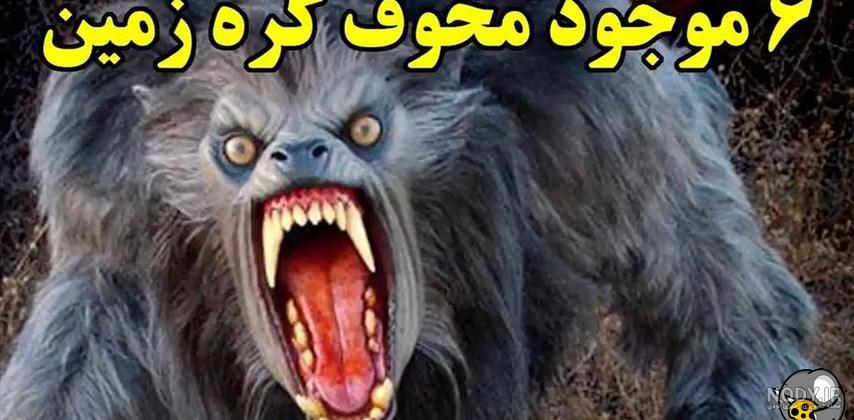 عجيب ترين و وحشتناك ترين حيوانات كه ديدنشان شما را به حيرت وا می دارد+  تصاوير