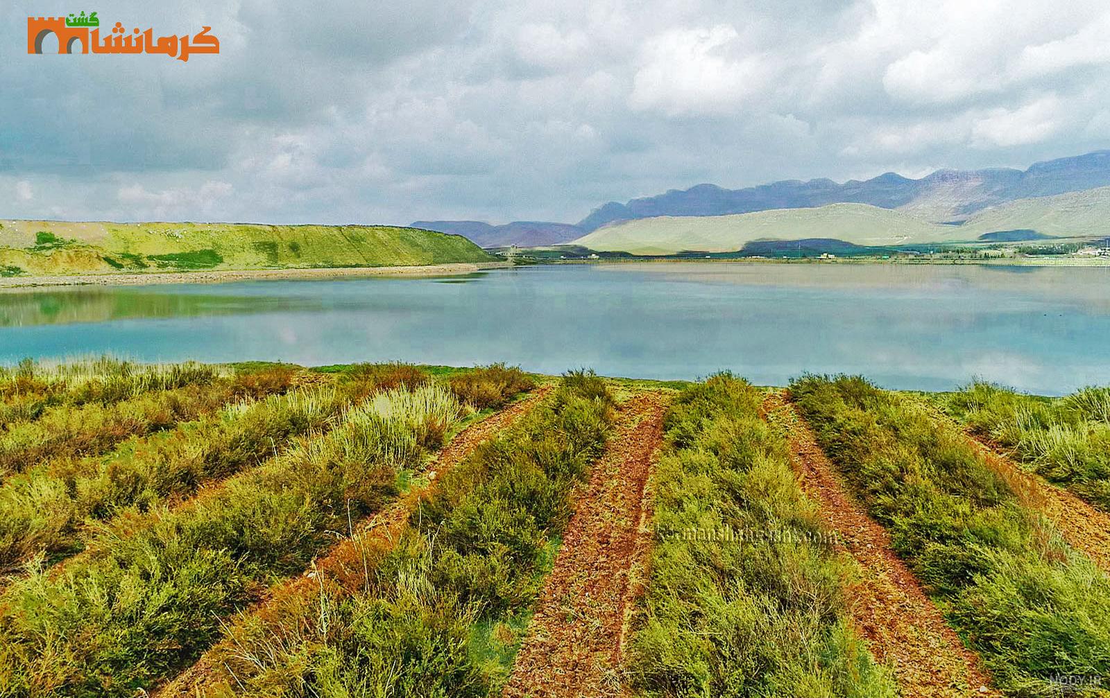 عکس از طبیعت گیلانغرب عکس از طبیعت گیلانغرب