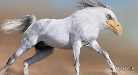 عکس حیوان خانگی ترسناک