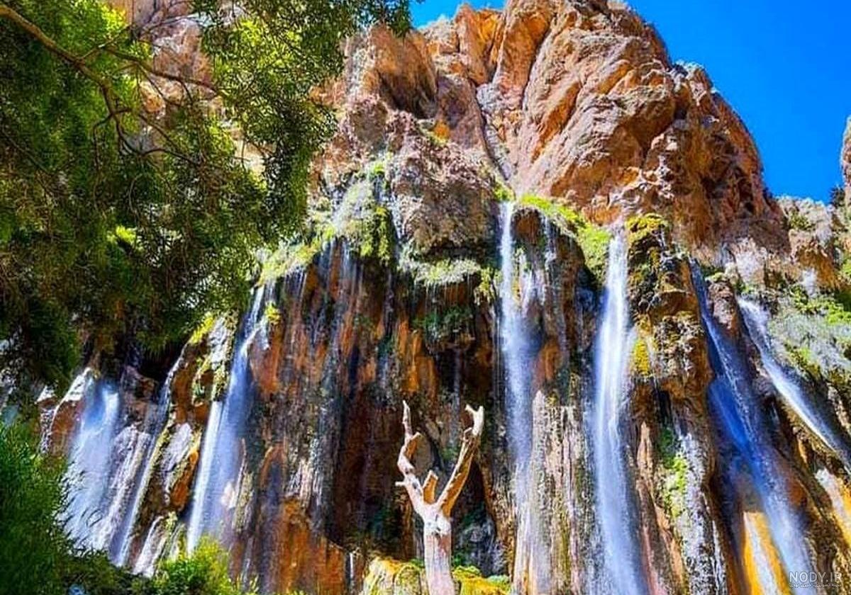 عکس زیبای نیوشا ضیغمی در طبیعت بهاری شیراز/ عین یه تیکه از بهشته!