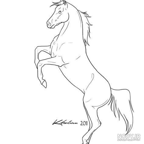 عکس صورت اسب برای نقاشی