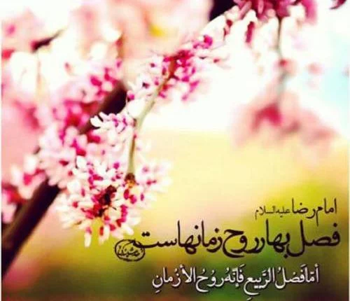 عکس فصل بهار برای پروفایل
