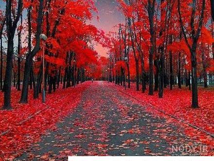عکس منظره زیبا برای پروفایل 🌷 | پیکوپیکس عکس منظره زیبا برای پروفایل 🌷 | پیکوپیکس