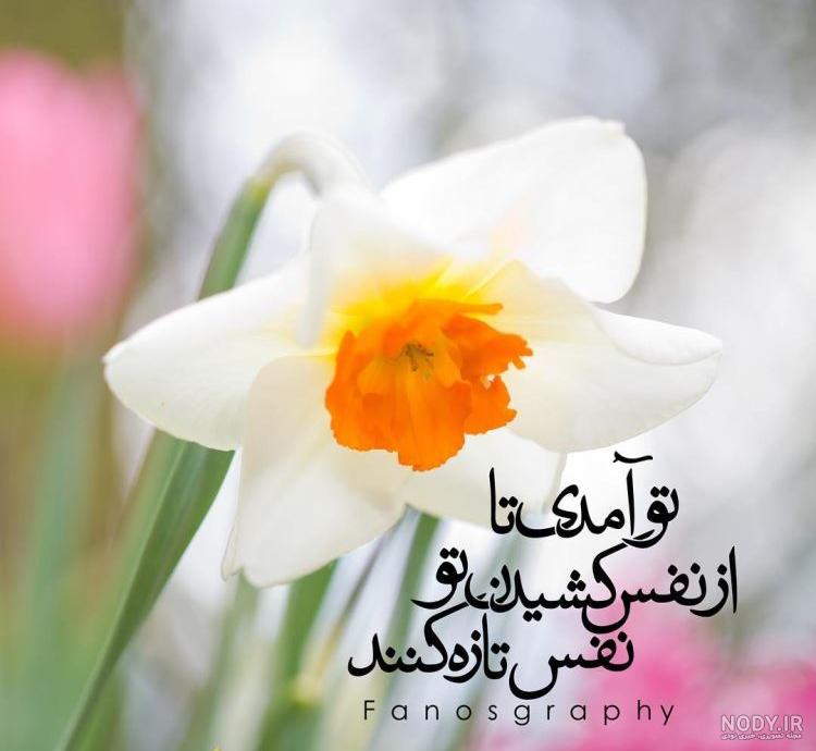عکس نوشته امام زمانی جدید عکس نوشته امام زمانی جدید