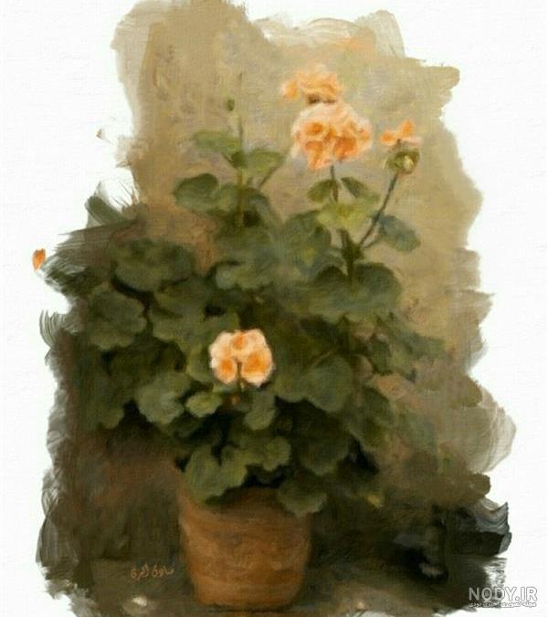 عکس گل گلدان برای نقاشی