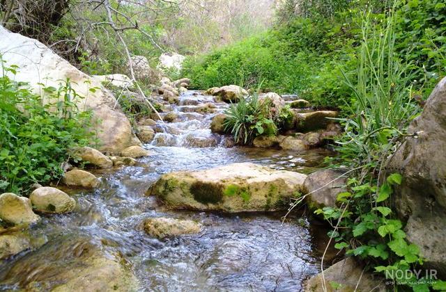 فرارو | (تصاویر) مبارزه با آنش‌سوزی مراتع و جنگل‌های گیلانغرب