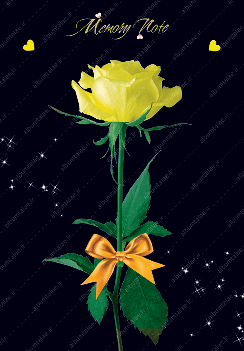 قاب مدیا | عکس زمینه گوشی با کیفیت گل زرد , گلدان , آبی , آفتابگردان ,  فیروزه ای