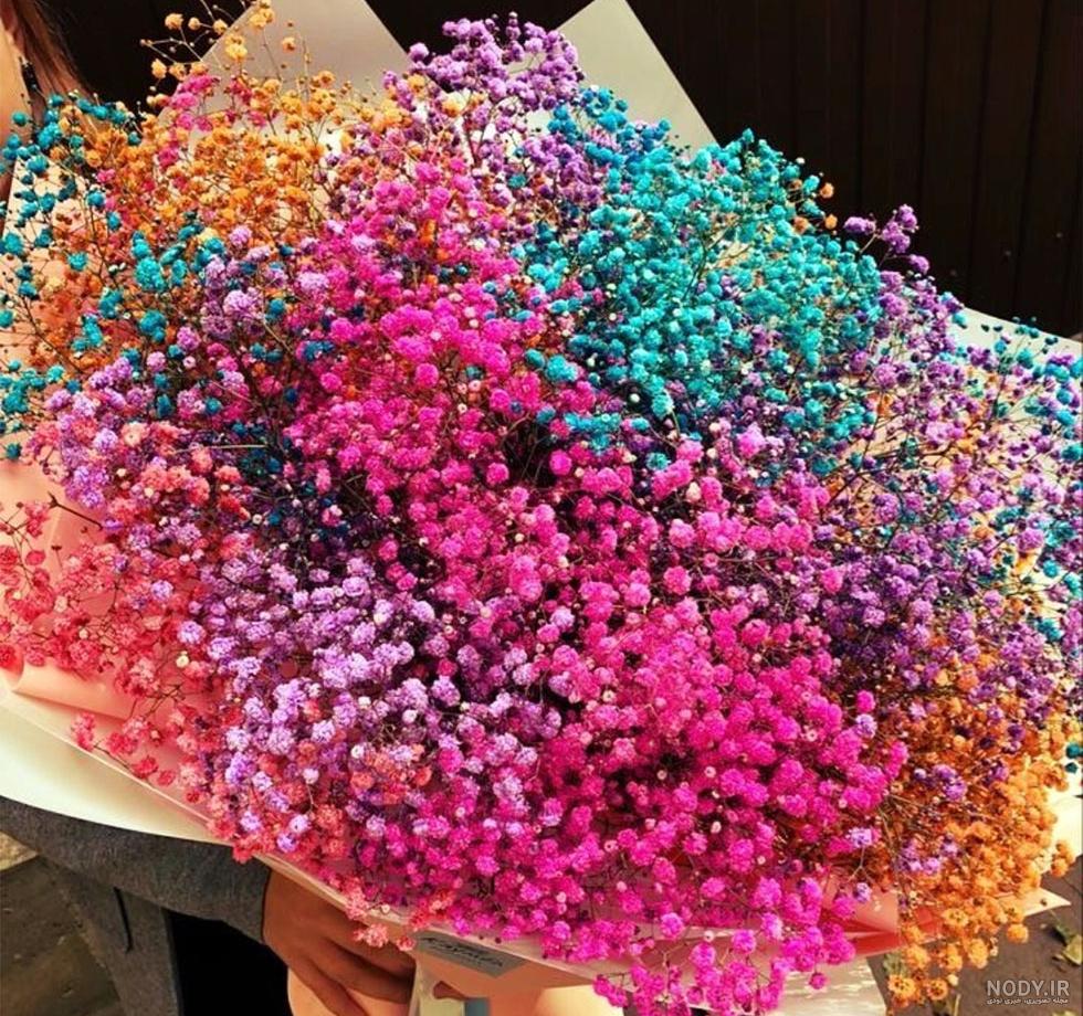 مجموعه عکس گل و عکس نوشته برای بکگراند، پروفایل و استوری - ستاره مجموعه عکس گل و عکس نوشته برای بکگراند، پروفایل و استوری - ستاره