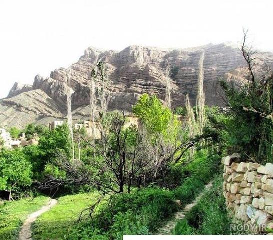 مشرق نیوز - عکس/ باغ گل‌های شیراز