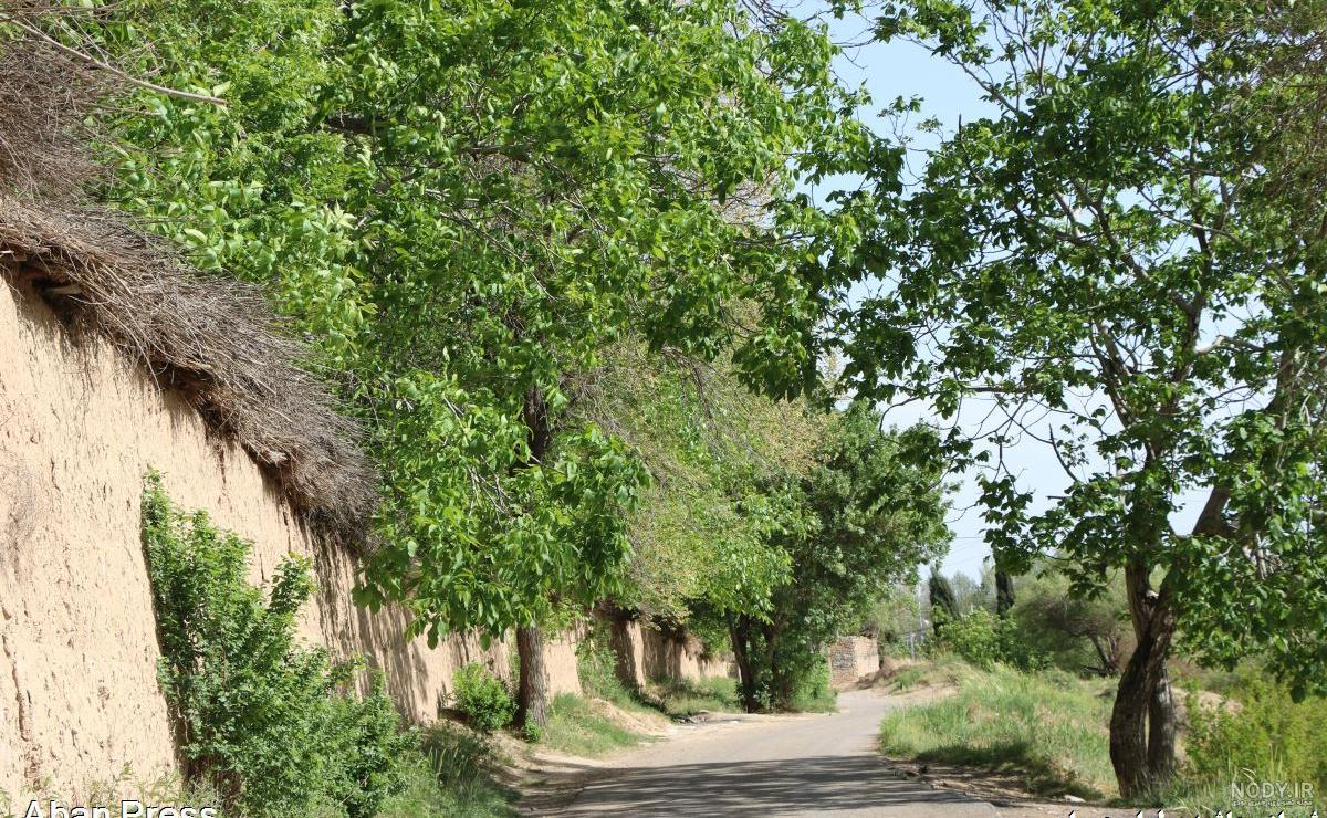 مشرق نیوز - عکس/ باغ گل‌های شیراز