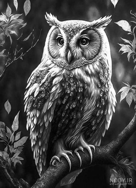 نقاشی سیاه قلم به صورت حرفه ای ۱۴۰۰ - عکس نودی نقاشی سیاه قلم به صورت حرفه ای ۱۴۰۰ - عکس نودی