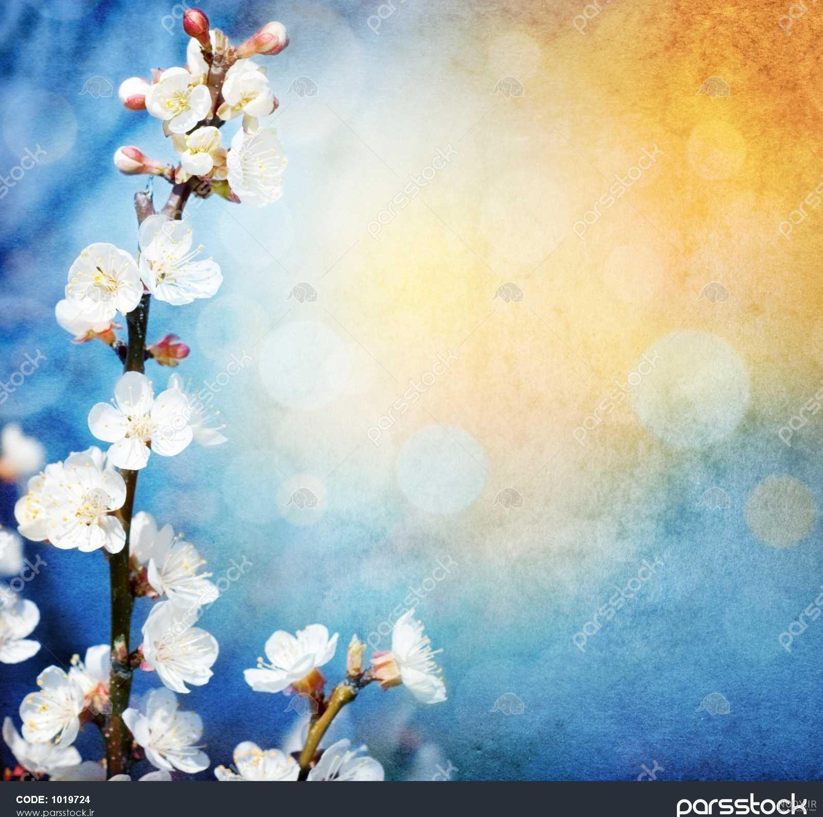 والپیپر بهاری موبایل | بک گراند بهاری برای گوشی