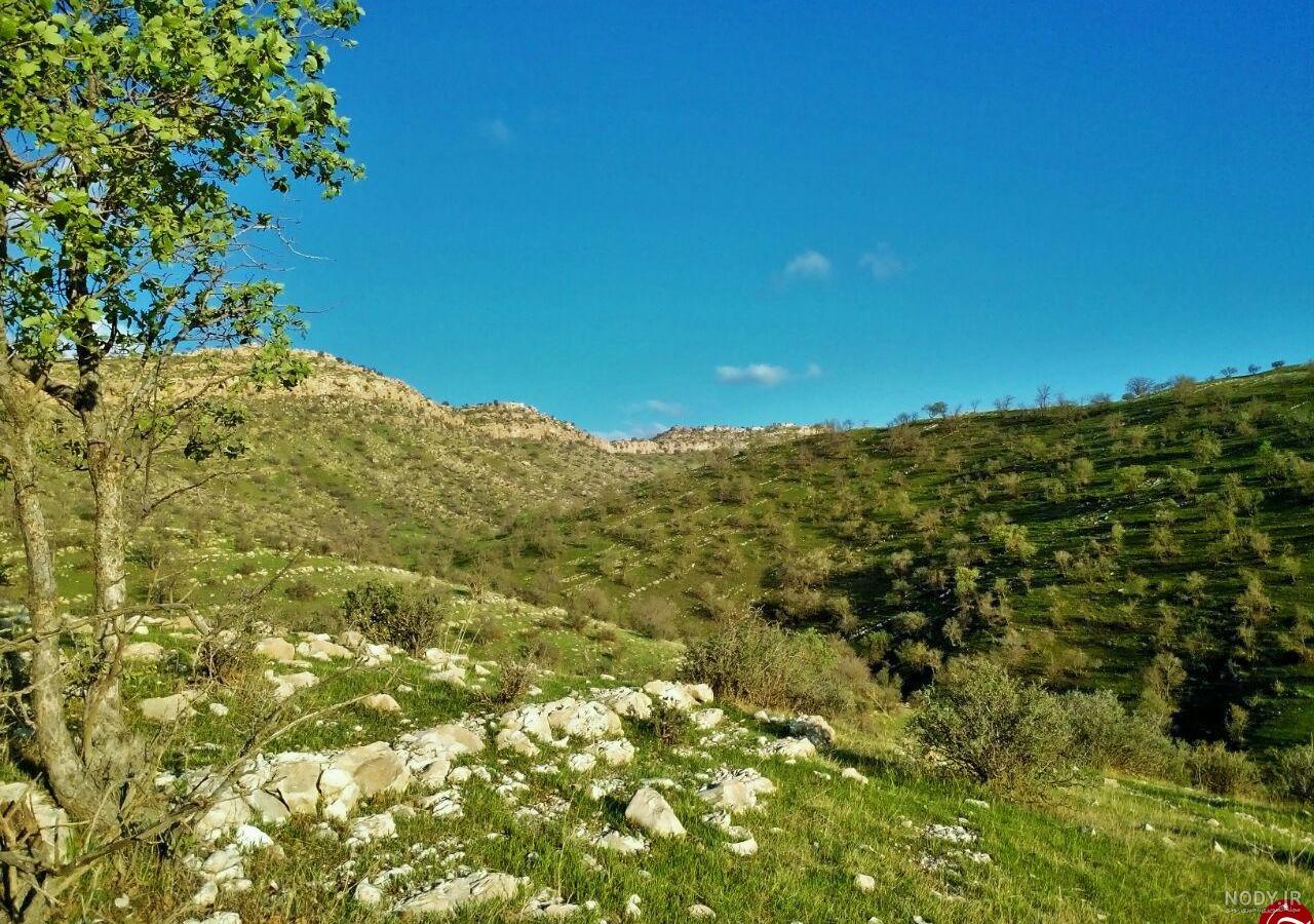 پایگاه خبری تحلیلی نوای گیلانغرب » پاکسازی طبیعت مل ینه گیلانغرب درروز زمین پاک پایگاه خبری تحلیلی نوای گیلانغرب » پاکسازی طبیعت مل ینه گیلانغرب درروز زمین پاک