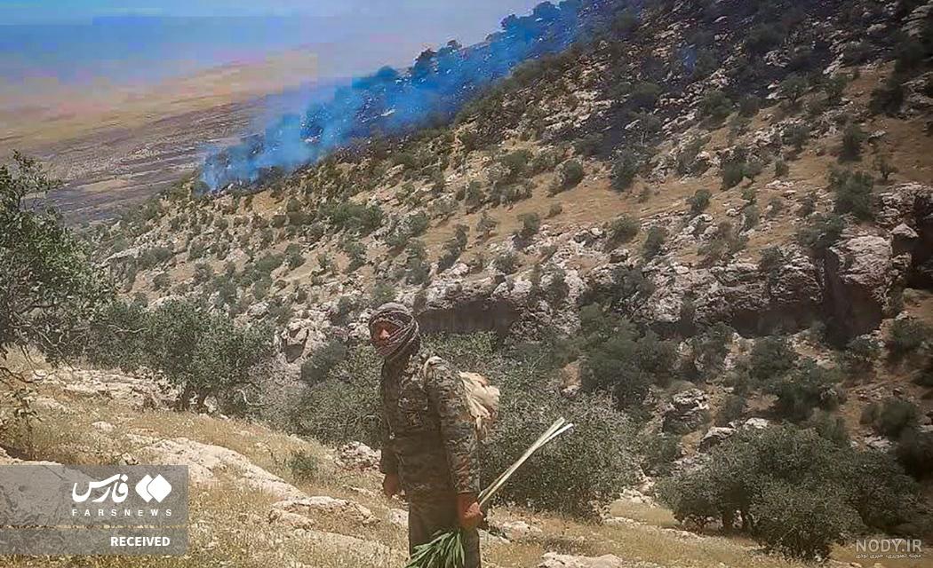 پویش جنگلانه به همت طبیعت دوستان در گیلانغرب اجرا شد +عکس - دیارکلهر پویش جنگلانه به همت طبیعت دوستان در گیلانغرب اجرا شد +عکس - دیارکلهر