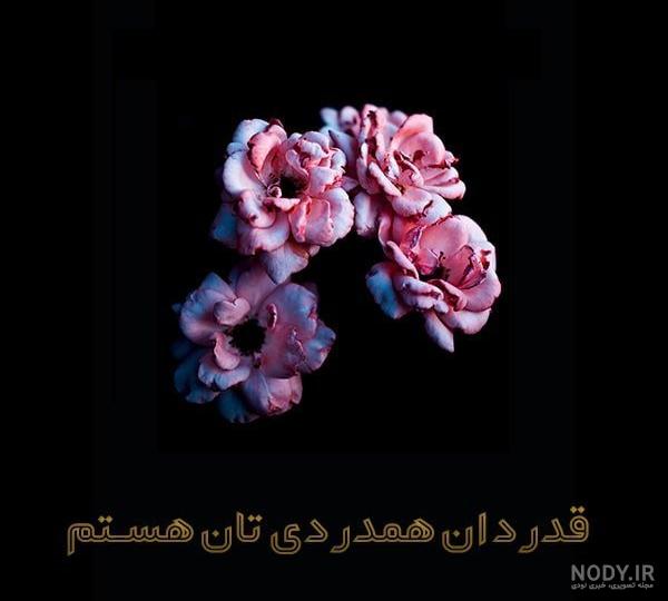 پیام تشکر به دلیل حضور در مراسم ختم + جواب تشکر پیام تسلیت پیام تشکر به دلیل حضور در مراسم ختم + جواب تشکر پیام تسلیت