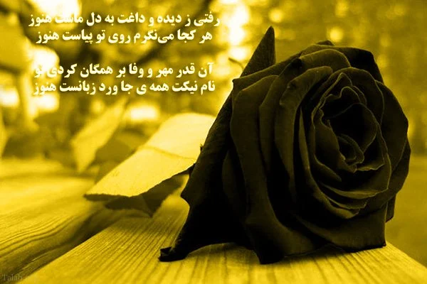کلیپ تسلیت برای فوت فامیل کلیپ تسلیت برای فوت فامیل