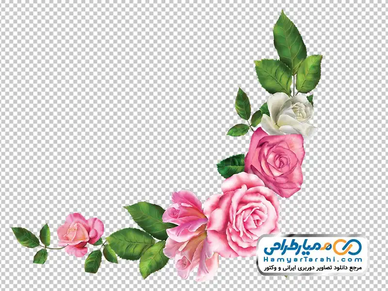 گالری عکس گل رز صورتی عاشقانه و زیبا برای پروفایل با کیفیت بالا گالری عکس گل رز صورتی عاشقانه و زیبا برای پروفایل با کیفیت بالا