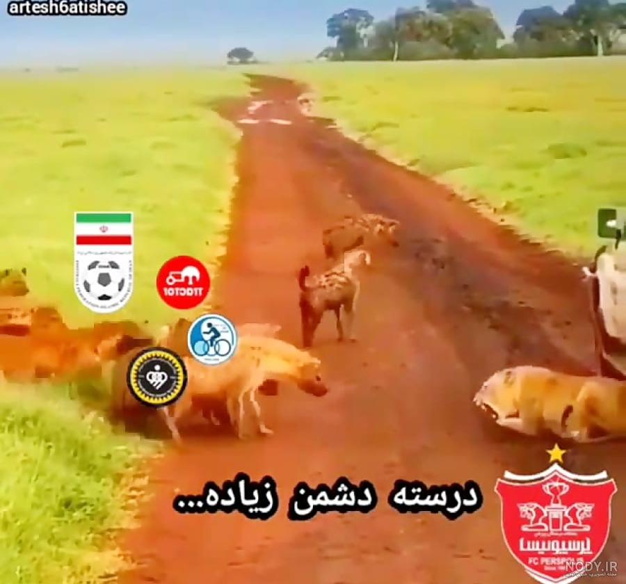 عکس آرم پرسپولیس با شیر
