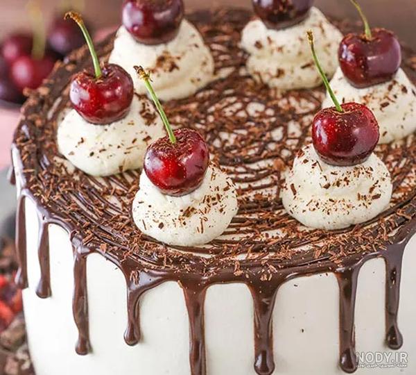 جدیدترین ترندهای کیک تولد|شهریور ۱۴۰۳|109 ایده جذاب و خلاقانه