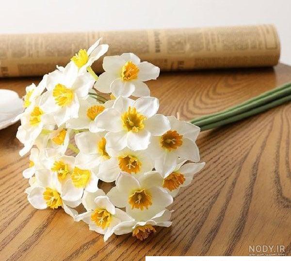 جدیدترین عکس های گل نرگس جدیدترین عکس های گل نرگس