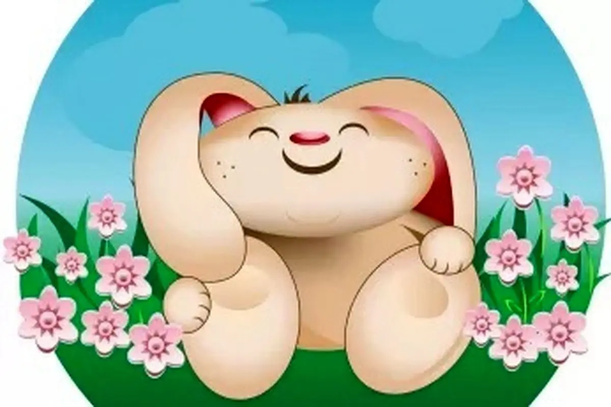 خرید و قیمت خرگوش خوشگل