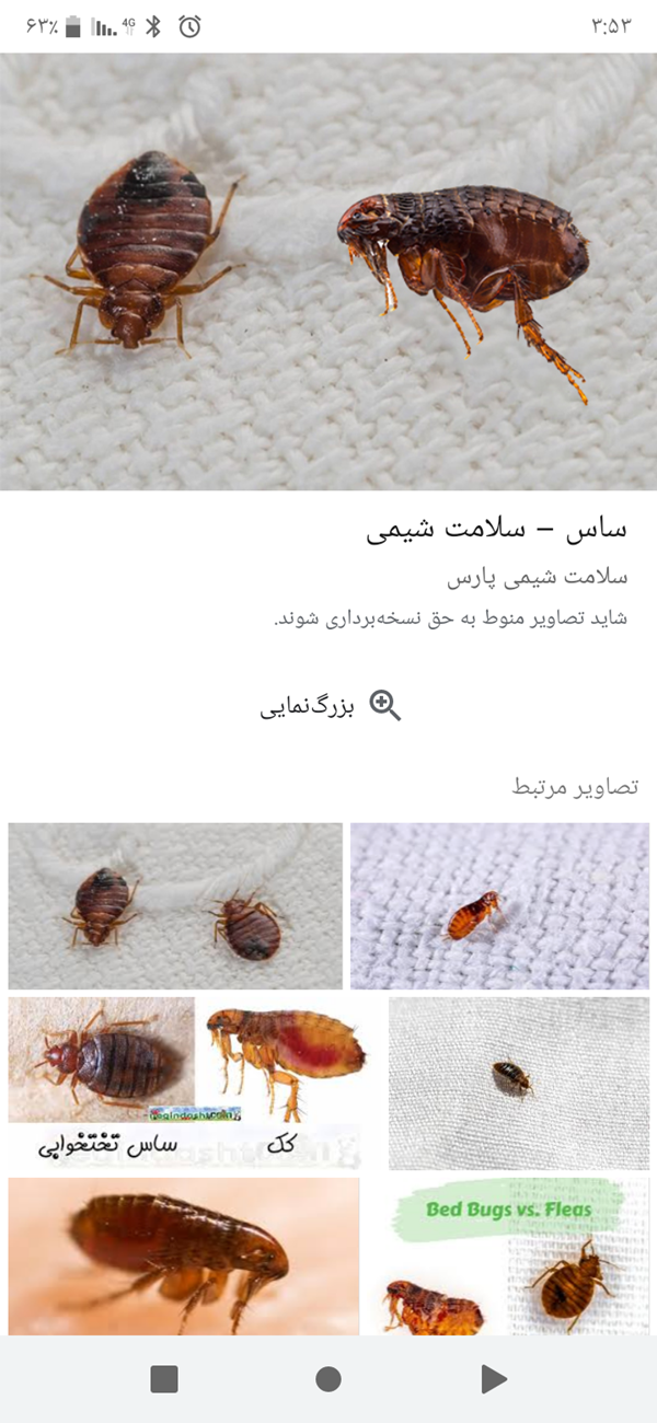 عکس بچه ساس ها - عکس نودی عکس بچه ساس ها - عکس نودی