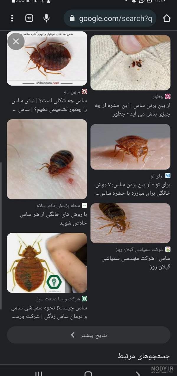 عکس بچه های ساسی عکس بچه های ساسی