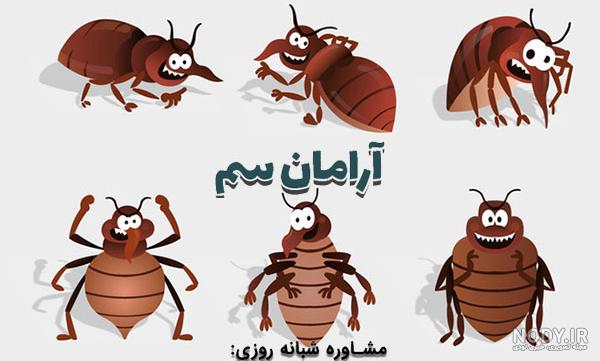 عکس بچه ساسی مانکن عکس بچه ساسی مانکن