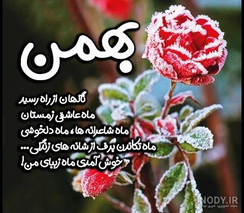 عکس تولد بهمن ماهی پسرونه عکس تولد بهمن ماهی پسرونه