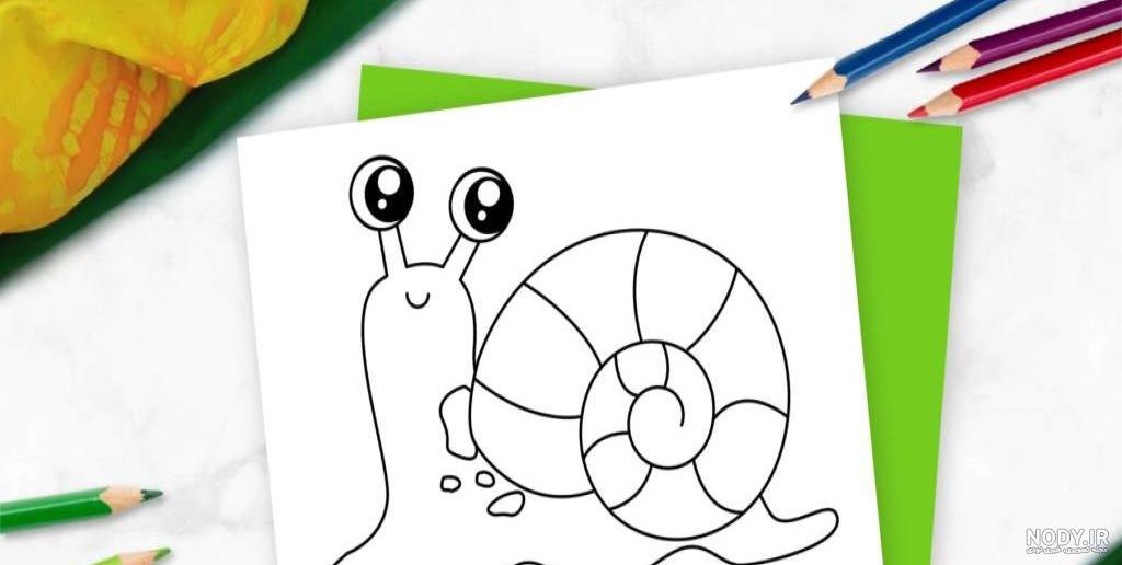 عکس حلزون بچه گانه