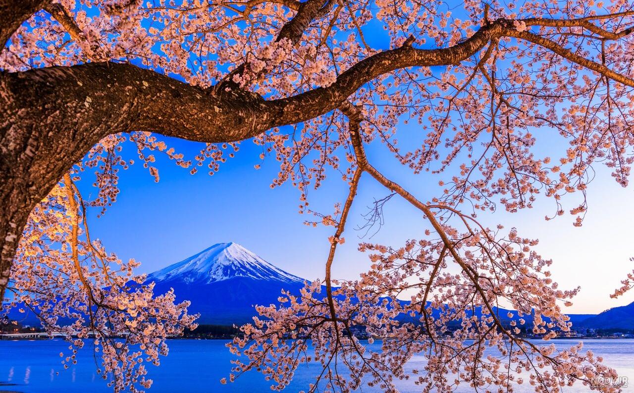 عکس زیبای صبح بخیر بهاری