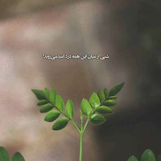عکس پروفایل با موضوع خدا عکس پروفایل با موضوع خدا