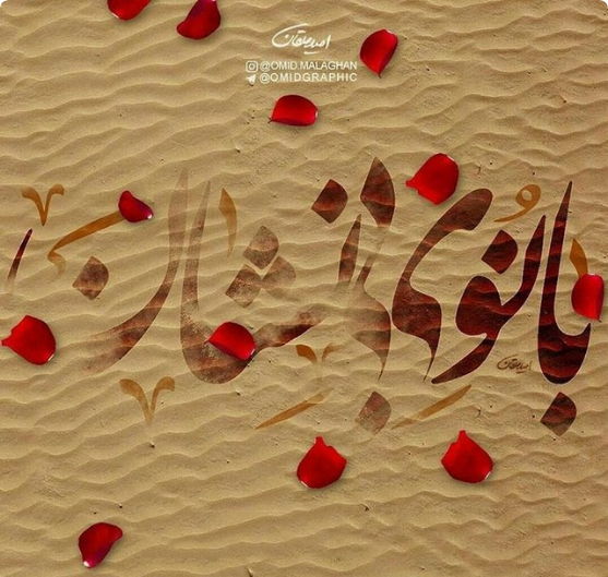 عکس پروفایل حجاب زهرایی بدون متن