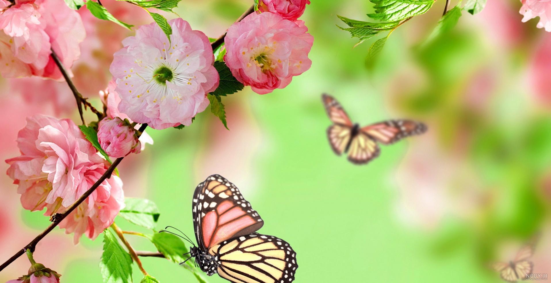 عکس گلهای زیبای بهاری برای پروفایل