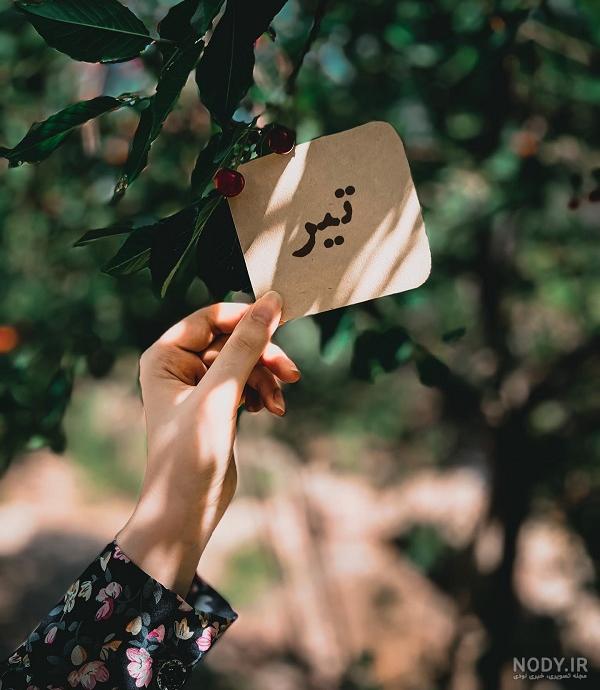 پیام تبریک تولد همسر تیرماهی (تبریک تولد به همسر تیری)