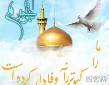 عکس حرم امام رضا با کبوتر برای پروفایل واتساپ