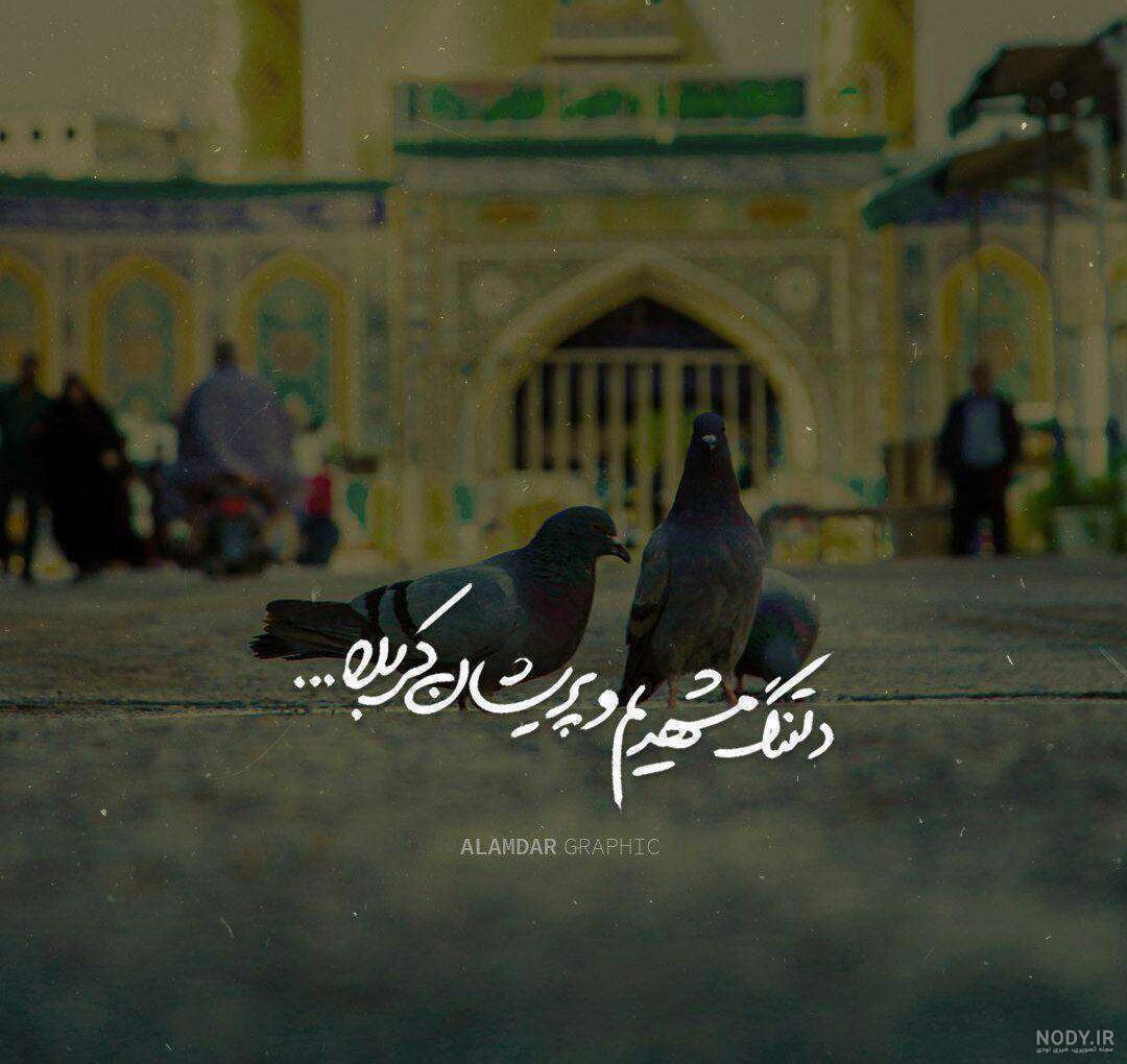 عکس حرم امام رضا با کبوتر برای پروفایل واتساپ