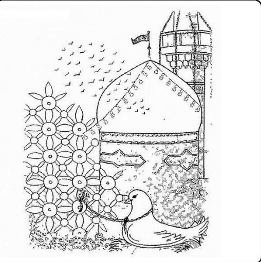 عکس حرم امام رضا با کبوتر برای پروفایل واتساپ