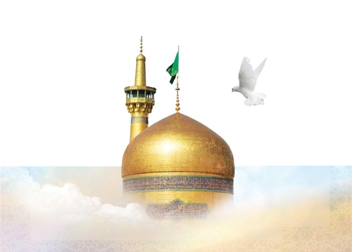 عکس حرم امام رضا با کبوتر برای پروفایل واتساپ